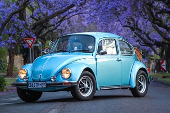 1975 Volkswagen Super Beetle main image
