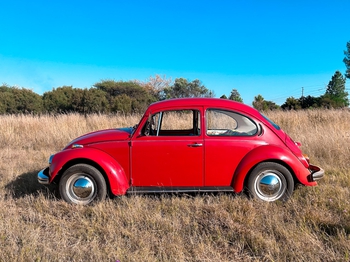 1972 Volkswagen Beetle main image