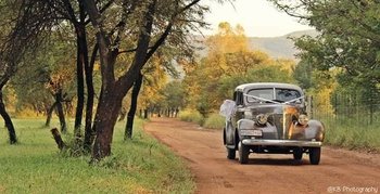 1939 Chevrolet Master 85 main image