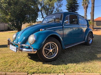 1966 VW Beetle main image