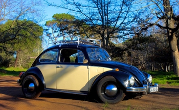 1972 Vw Beetle type 1 main image