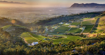 Constantia Winelands - Half Day