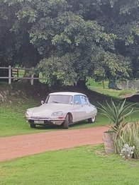 1973 Citroën DS Pallas main image