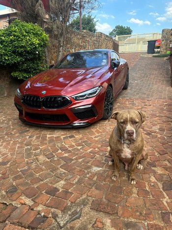 2020 BMW M8 Competition Coupe main image