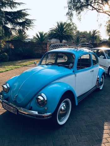 1976 Volkswagen Beetle main image