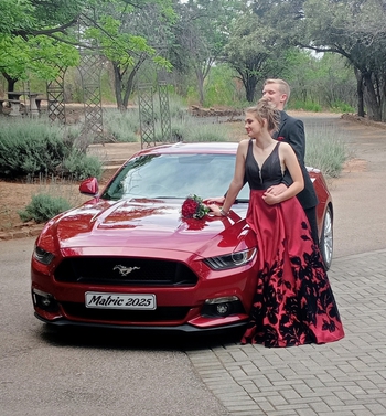 2016 Mustang 5.0GT main image