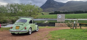 1972 Volkswagen Beetle main image