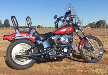 1998 Harley Davidson Softail Custom Motorcycle main image