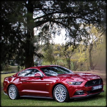 2016 Mustang 5.0GT main image