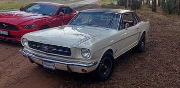 1965 Mustang main image